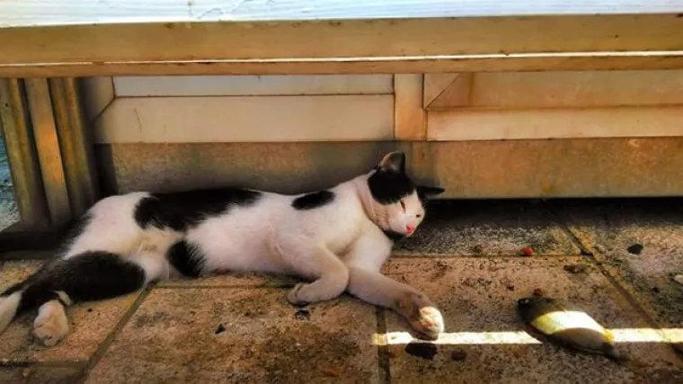 Ukrcao se na pogre&scaron;an brod i sve zabrinuo, ali sad se vraća kući