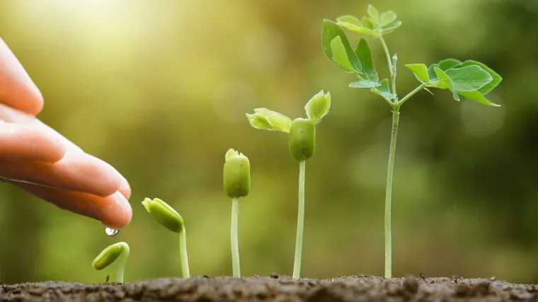 Fitoterapijom protiv epidemije probavnih bolesti