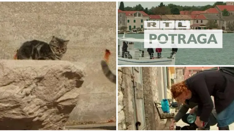 Ubijaju mačke i bacaju ih u more! Zgroženi otočani pozvali policiju: 'Nadamo se da će naći krivca...'