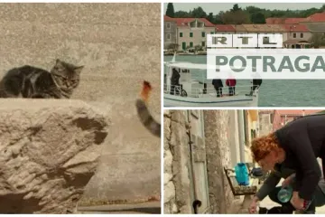 Ubijaju mačke i bacaju ih u more! Zgroženi otočani pozvali policiju: 'Nadamo se da će naći krivca...'