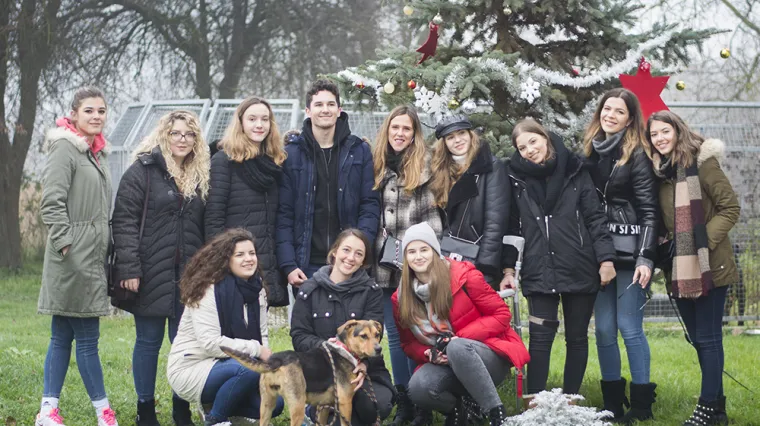 Zagrebački studenti postali influenceri za udomljavanje pasa iz Dumovca: Cilj je zbrinuti 77 nju&scaron;ki