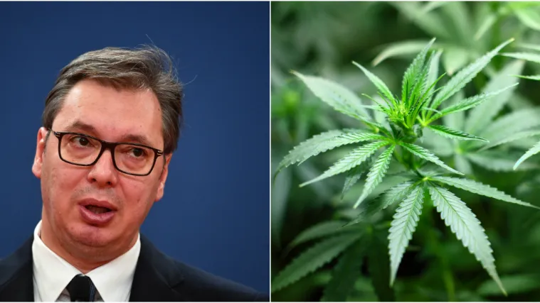 Vučić uzgajao marihuanu?! Politički saveznik prijavio ga policiji: 'Ovo je rezultat rada države'