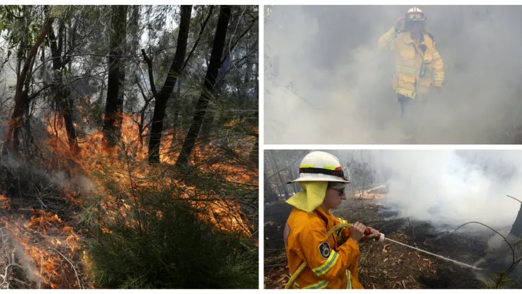Vatrom protiv vatre: Australski vatrogasci pale pa&scaron;njake kako bi smanjili rizik od velikih požara