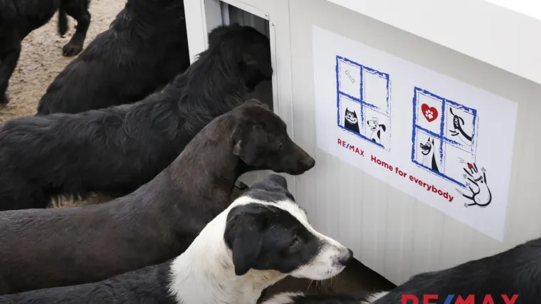 Agencija RE/MAX donirala Udruzi &Scaron;apa u srcu termopanel kućice, kako bi im olak&scaron;ali nadolazeće zimske minuse