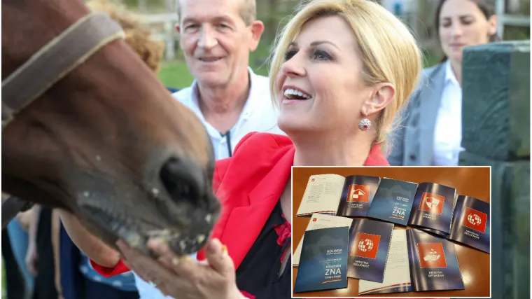 'Jesu li Gospodin Normalno i Gospodin Narodni Heroj napisali programe?'; Twitter nije regirao kako je očekivala