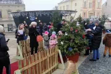 Djeca i gradonačelnik Križevaca Mario Rajn ukrašavali božićna drvca