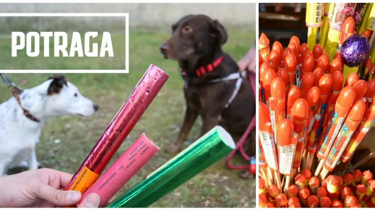 Maloljetnici ostaju bez prstiju, životinje pate, zagađuje se okoli&scaron;...Treba li zabraniti petarde?