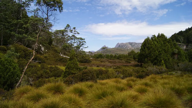 Koji je najviši vrh Australije
