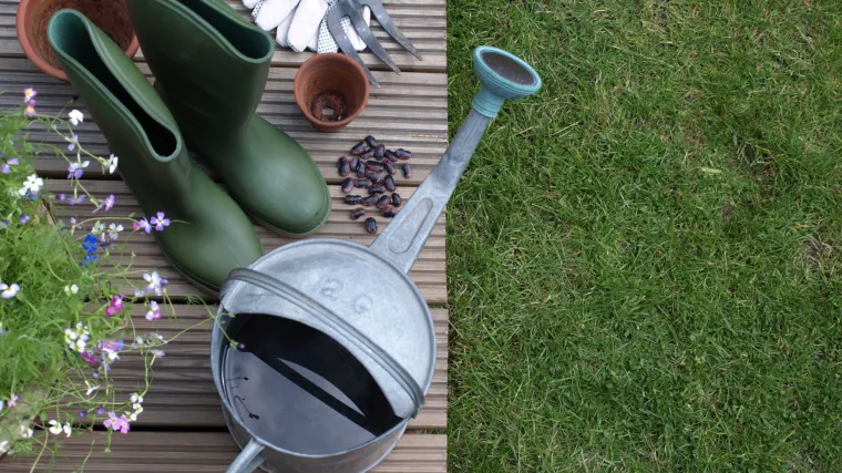 Što je ekološki, a što samoodrživi vrt?