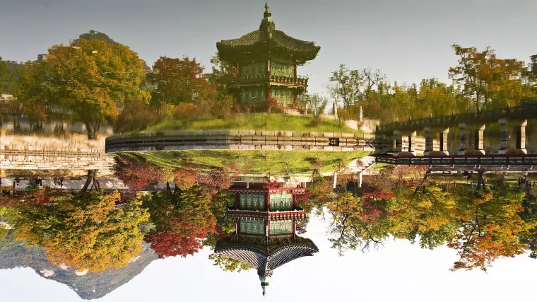 Ukrasna stabla - kuglasti čempres