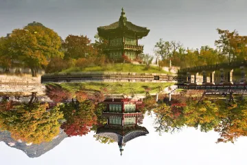 Ukrasna stabla - kuglasti čempres