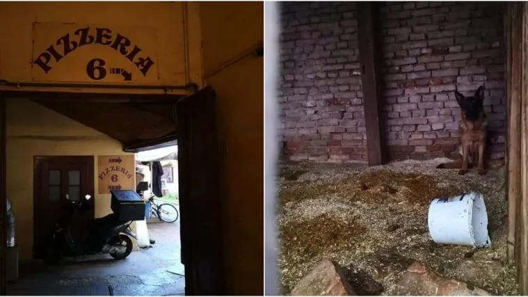 Vlasnik pizzerije na udaru: 'Zlostavlja tri psa, spasite ih!' Djelatnici ga brane: 'Podmeću mu!'