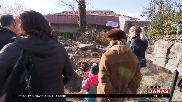 Pripremaju se pokloni za životinje: 'Jako im je drago kad ih dobiju'