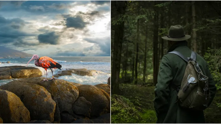 Policija traga za krivolovcima koji su ubili iznimno vrijedne ptice: 'Ovo nije izdvojen slučaj'