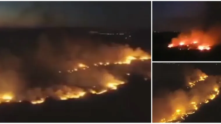 VIDEO Veliki požar na Pagu: U gašenju sudjeluje oko 50 vatrogasaca, a otežava ga bura