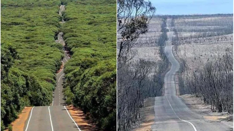 Dijele se potresne fotografije koje pokazuje zastra&scaron;ujući razmjer katastrofe