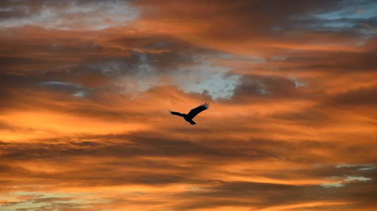 Jeste li već uočili ovu jezivu promjenu? 'Gledamo krizu koja je u punom jeku'