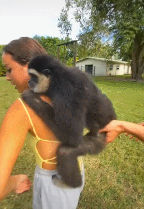 Ja&scaron;e ju nemilosrdno