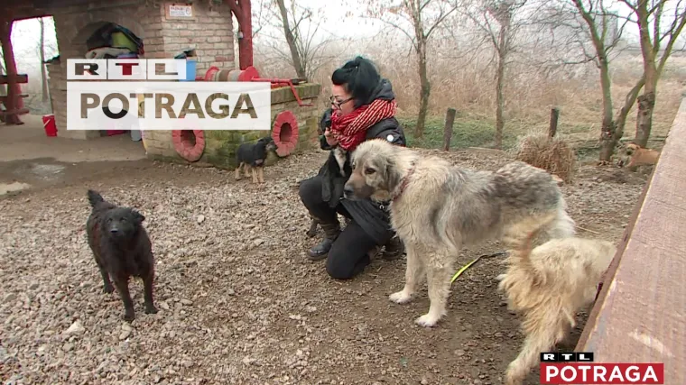 Zlostavljaju i ubijaju životinje, a prijete ženi koja ih spa&scaron;ava: 'Govore da će i mene zaklati'