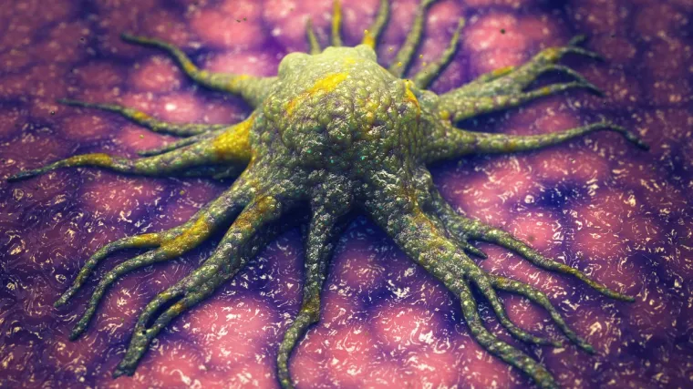 'Ovo nitko nije napravio, postoji šansa da izliječimo sve'