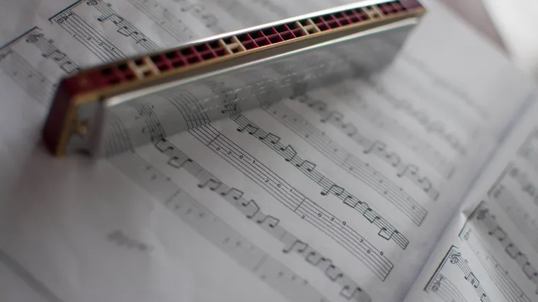 Koji su to usni instrumenti?