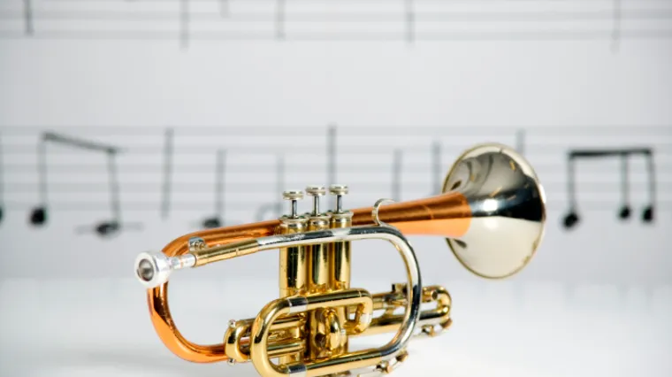 Koji instrumenti čine puhački orkestar?