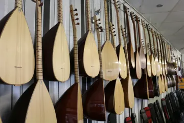 Koliko poznajete saz instrument?