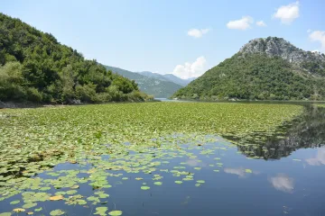 Skadarsko jezero dubina i biljni svijet