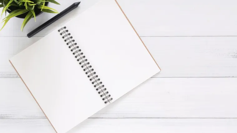 Književna vrsta dnevnik