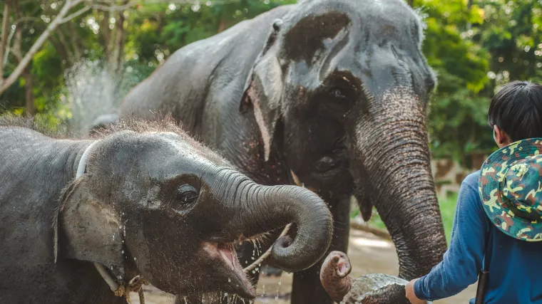 Panama klima: Saznajte sve vi&scaron;e o klimi u Panami