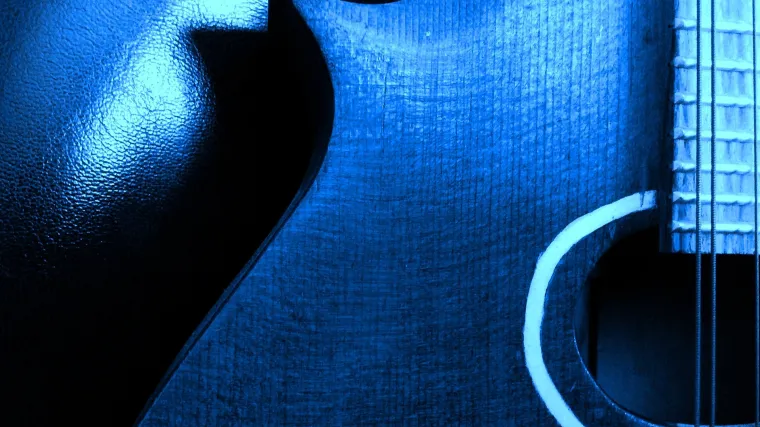 Bosanski instrumenti: Instrumentalna tradicija BiH