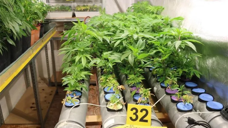 VIDEO Policija zaustavila vozača Passata: U autu na&scaron;li marihuanu, a onda otkrili i laboratorij za uzgoj