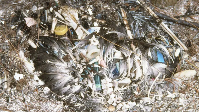 Ljudi, pa ovo je stvarno pretužno...