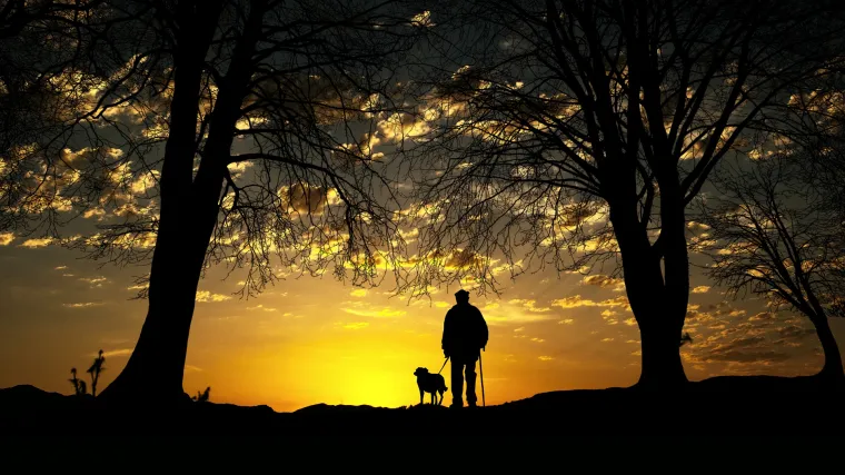 Peruanski pas kao&nbsp;primjer čovjekove očaranosti neobičnim