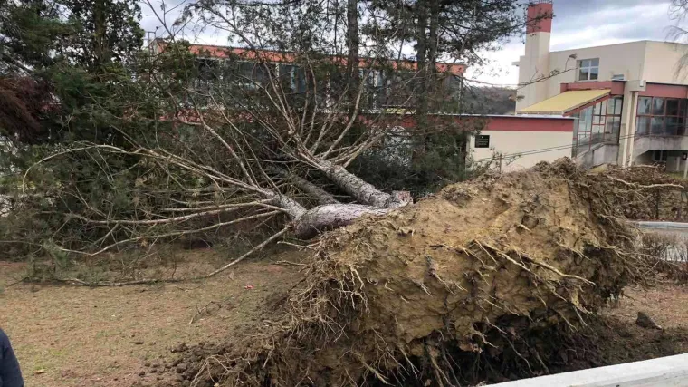 FOTO Vjetar je rušio sve pred sobom u Zagorju: U Konjščini iščupao drveće iz korijena