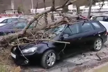 Jak vjetar u Stubičkim Toplicama ruši drveća koja padaju na automobile