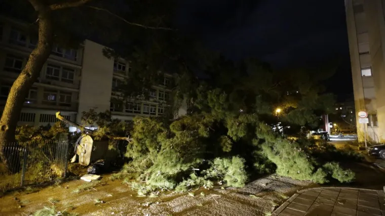 Splitski vatrogasci velikog srca: Usred olujnog vjetra spa&scaron;avali mačku koja je zapela na boru