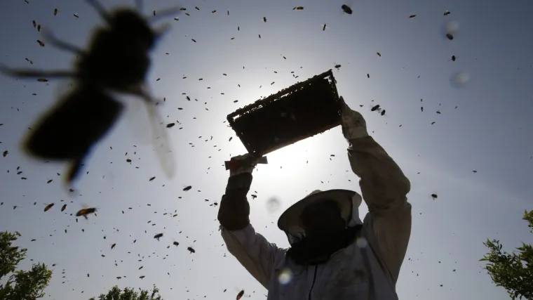 Situacija je gora no &scaron;to se mislilo, uni&scaron;tavamo vrstu koja nas hrani