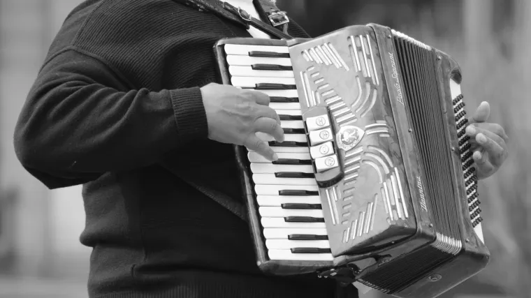 Dijatonska harmonika  - Znate li kakava je to harmonika?