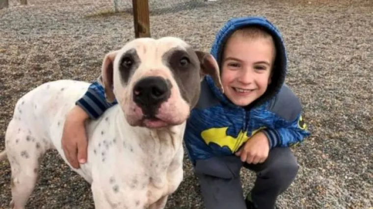 Ovaj dječak ima sedam godina, a već je spasio vi&scaron;e od 1300 pasa i 40 mačaka! 'On je na&scaron; mali princ'