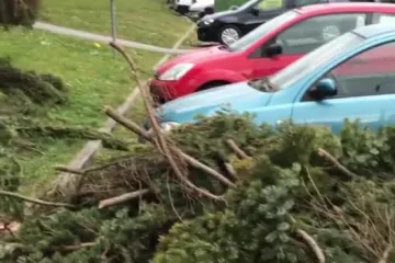 Jak vjetar srušio drveća na nekoliko lokacija u Križevcima