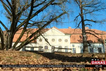 Daruvarsko drvo Adam bori se za titulu najljepšeg stabla Europe