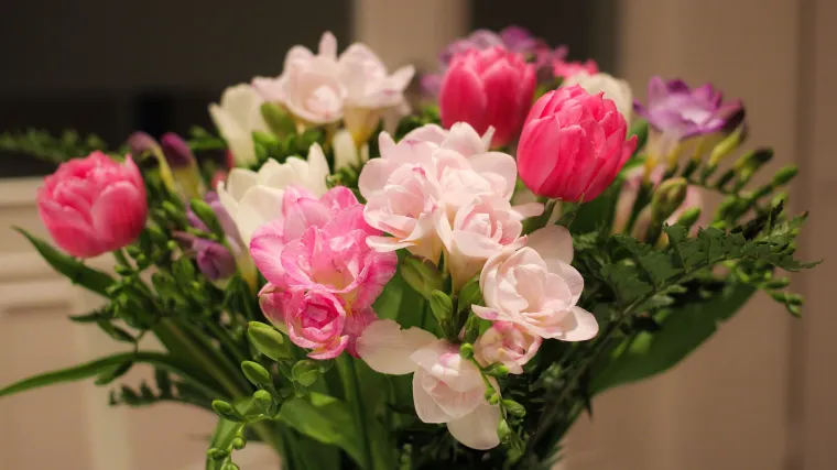 Koje su najpoznatije ljetne lukovice i kada se ljetne lukovice sade?