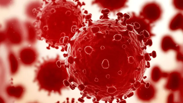 Smrtonosna zaraza zbog koje je cijeli svijet u panici upravo je dobila novo ime