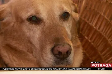 Psi pomagači Oscar i Simba olakšavaju život svojim vlasnicima, ali ljudi ih tjeraju