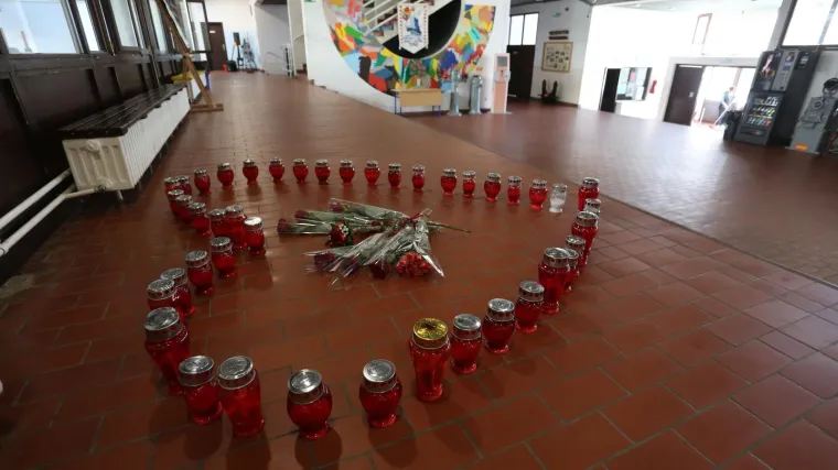 'Treba utvrditi je li bio ubrojiv, je li ovo planirao'