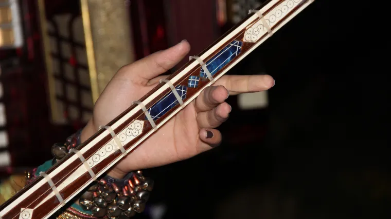 Gudački glazbeni instrument gusli