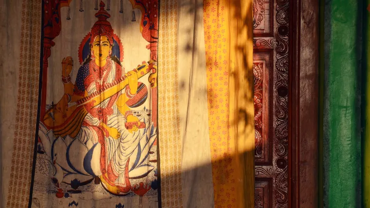 Koliko poznajete veena instrument?