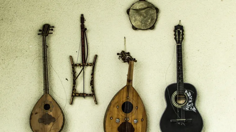 Da li poznajete sarod instrument?