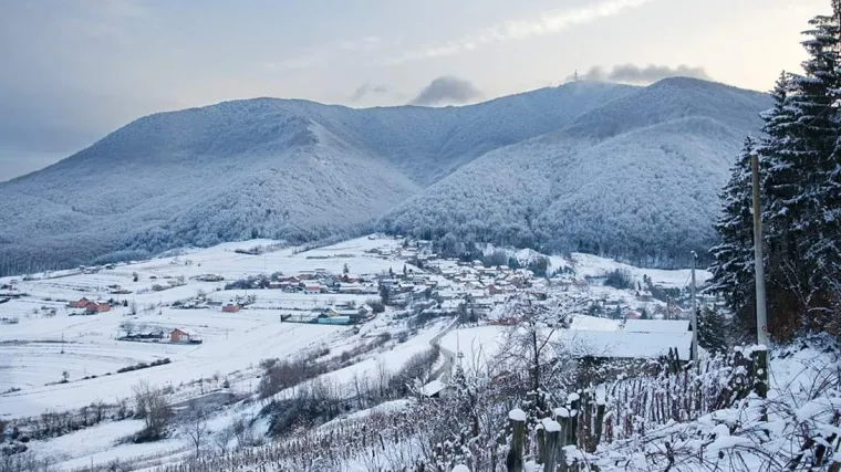 Znate li gdje se nalazi Šar planina?